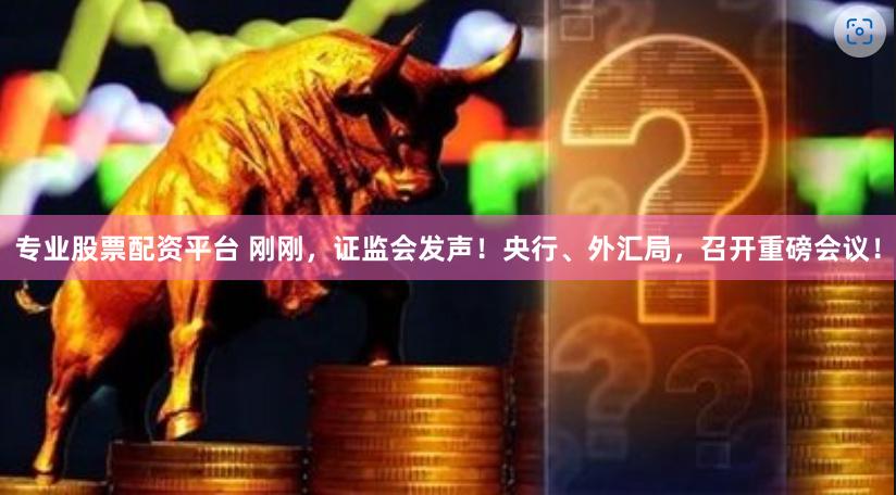 专业股票配资平台 刚刚，证监会发声！央行、外汇局，召开重磅会议！