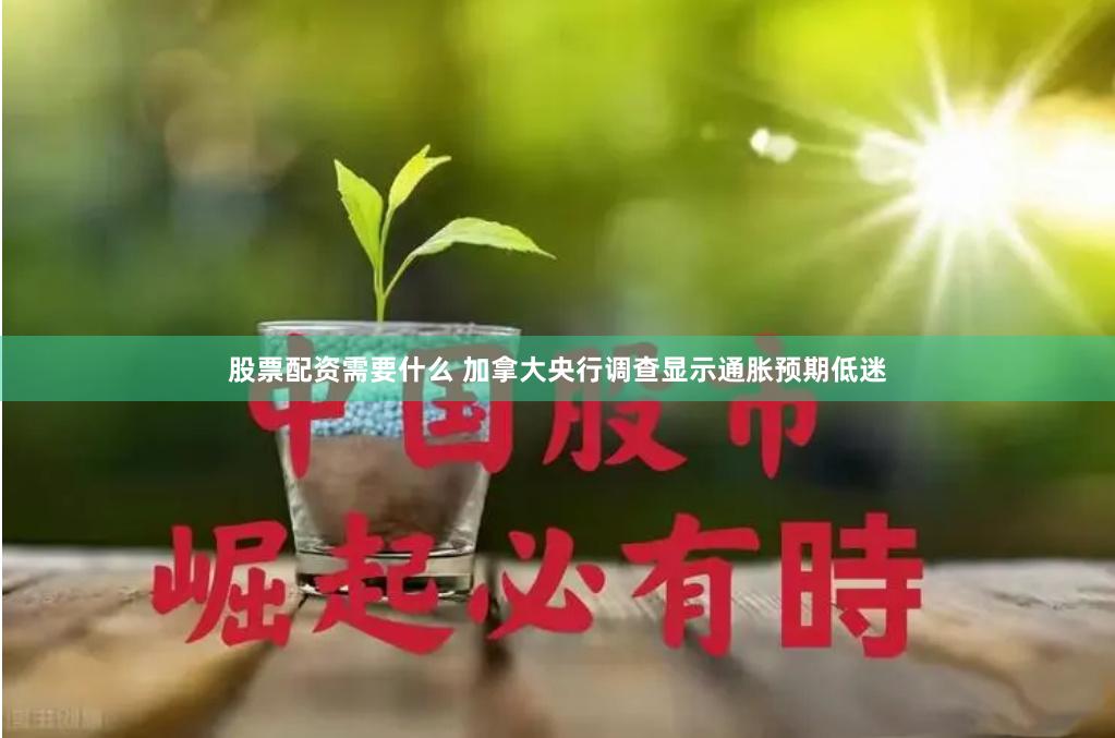 股票配资需要什么 加拿大央行调查显示通胀预期低迷