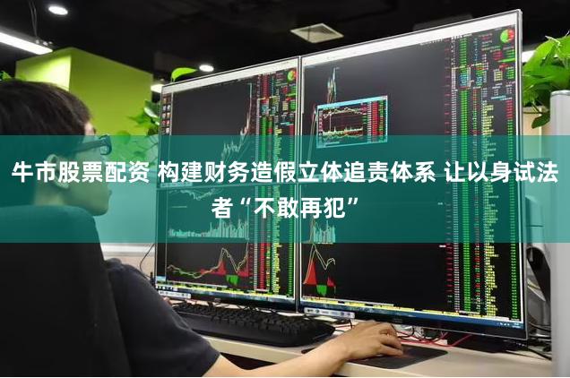 牛市股票配资 构建财务造假立体追责体系 让以身试法者“不敢再犯”