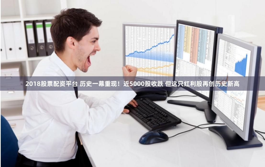 2018股票配资平台 历史一幕重现！近5000股收跌 但这只红利股再创历史新高
