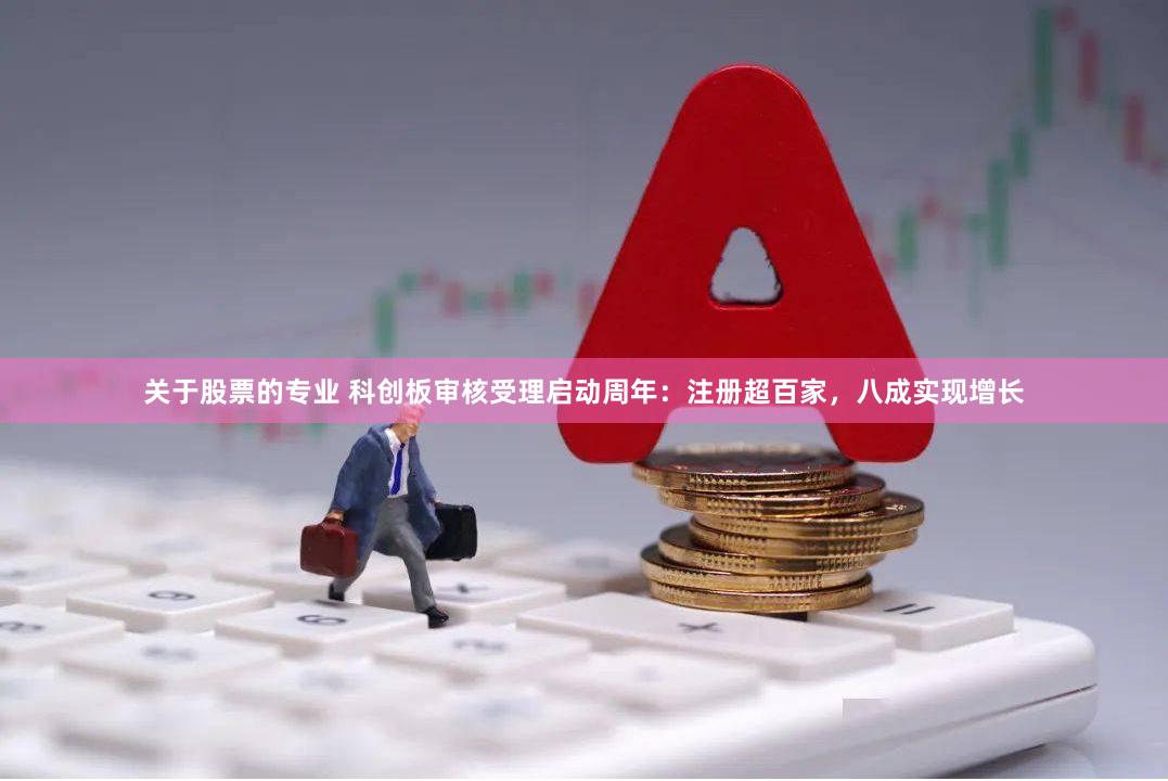 关于股票的专业 科创板审核受理启动周年：注册超百家，八成实现增长