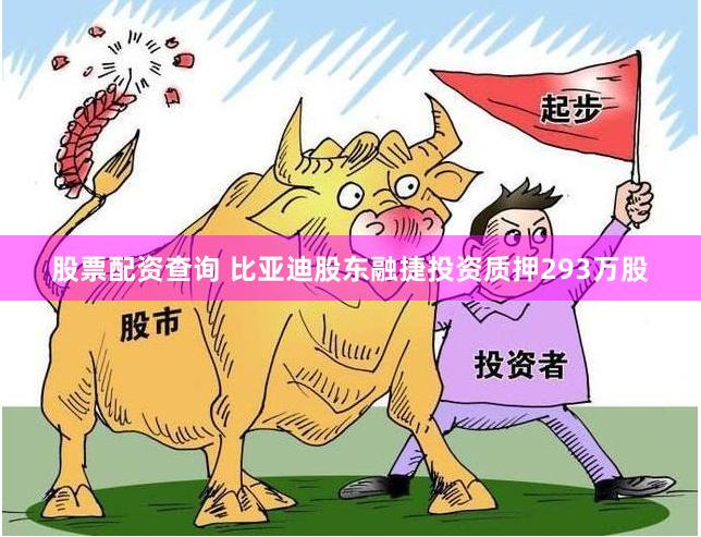 股票配资查询 比亚迪股东融捷投资质押293万股
