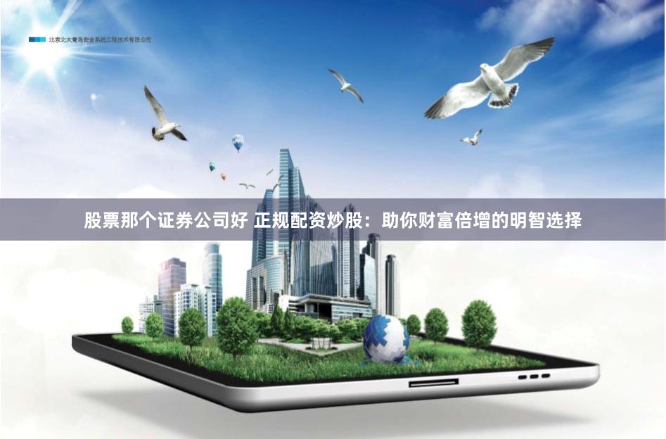 股票那个证券公司好 正规配资炒股：助你财富倍增的明智选择