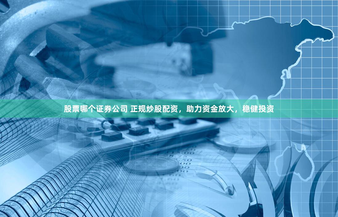 股票哪个证券公司 正规炒股配资，助力资金放大，稳健投资